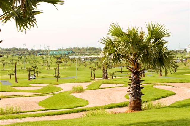 DSC 7603 Small Sân chơi golf : Twin Doves golf club