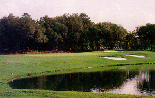 bay nuoc 2 Golf rules: Bẫy nước trong đánh golf