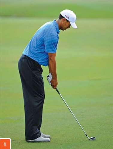 tiger woods ngan dau 1 Những Bí quyết của Tiger Woods: Ngẩn cằm cho tư thế tốt 