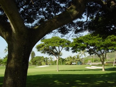 waialea7 Sân chơi golf : Waialae Country Club