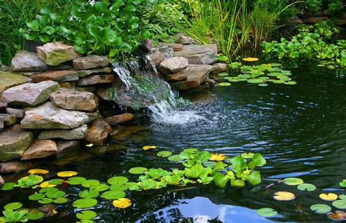 160019baoxaydung image012 Thiết kế và trang trí sân vườn bằng thác nước và hồ nhỏ